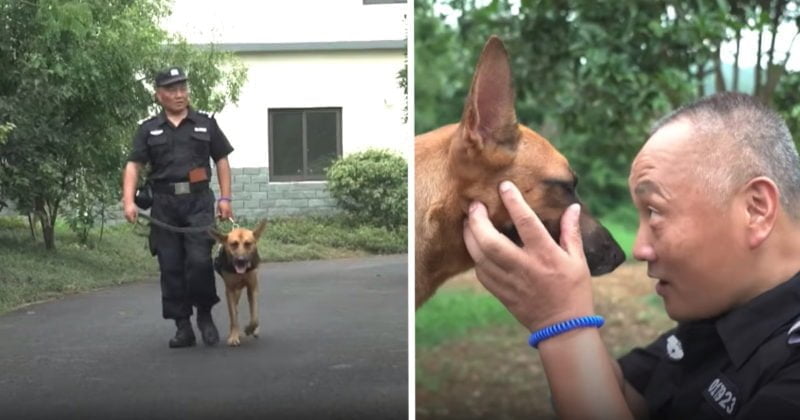 A true hero.  The officer spends his savings to take care of abandoned or retired K9s