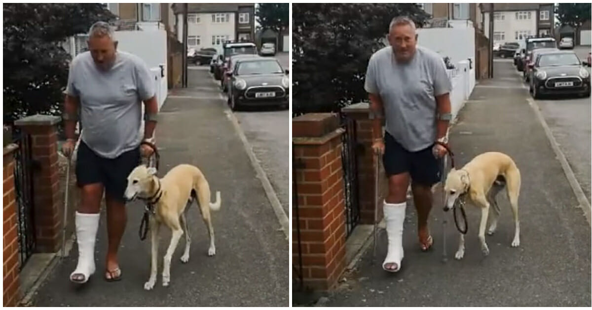 After spending a lot of money on the vet, a man learns that his lame dog is just mimicking him out of pity.