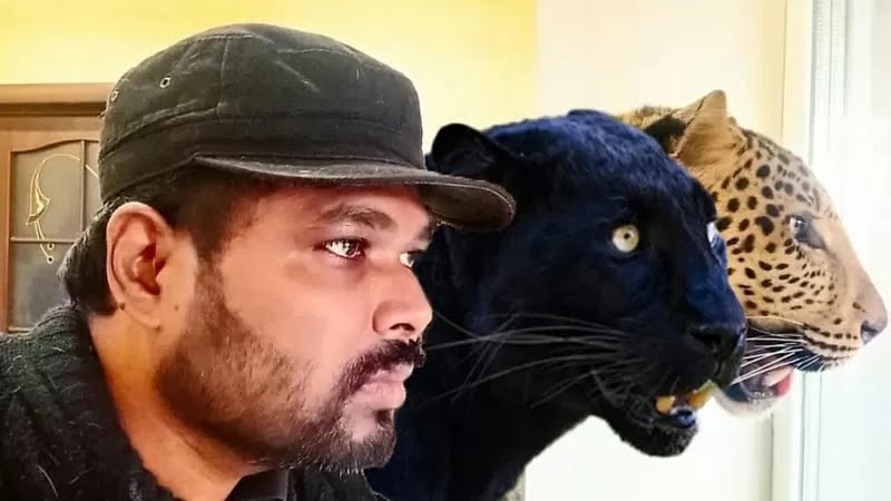 An Indian doctor who keeps black panthers and jaguars doesn't want to leave Ukraine without his big cats