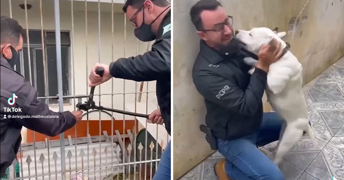 An act of kindness.  A man released a chained dog, and the dog thanked him by kissing and hugging him