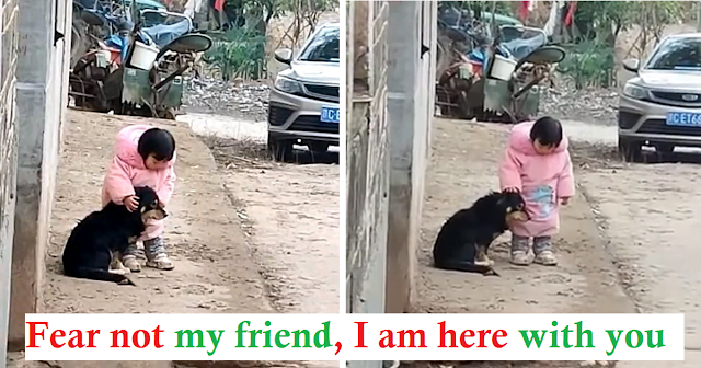 An act of kindness.  Girl covers her dog's ears in fear of firecrackers