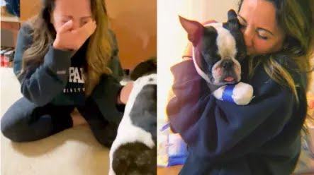 An emotional reunion.  Lost dog found 290 days after missing