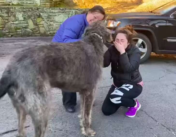 An emotional scene.  A woman has been reunited with her dog after losing it in a serious accident