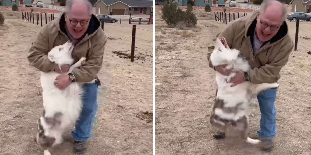 An emotional scene.  Blind and deaf dog received its owner immediately after 1 year of separation