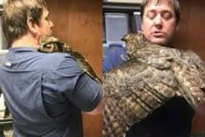 An owl keeps hugging the man who saved her life after she was hit by a car