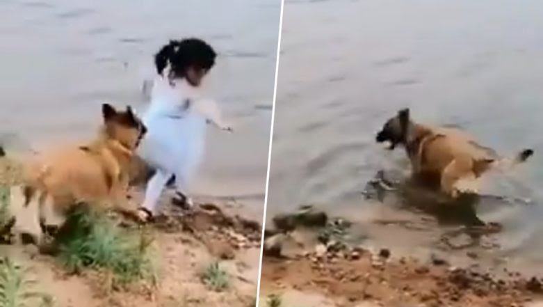 Brave dog saves girl from falling into river