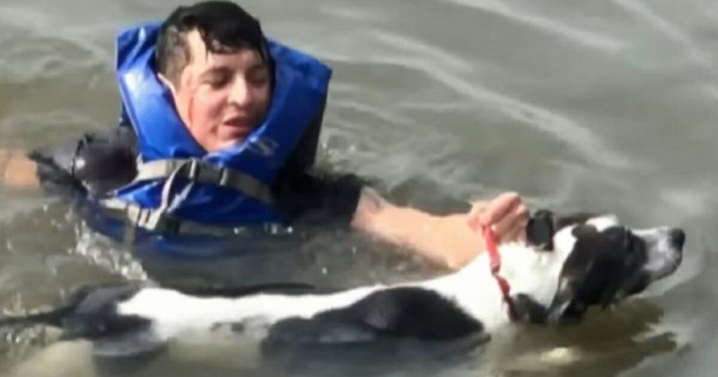 Brave man gave up his birthday to save drowning dog