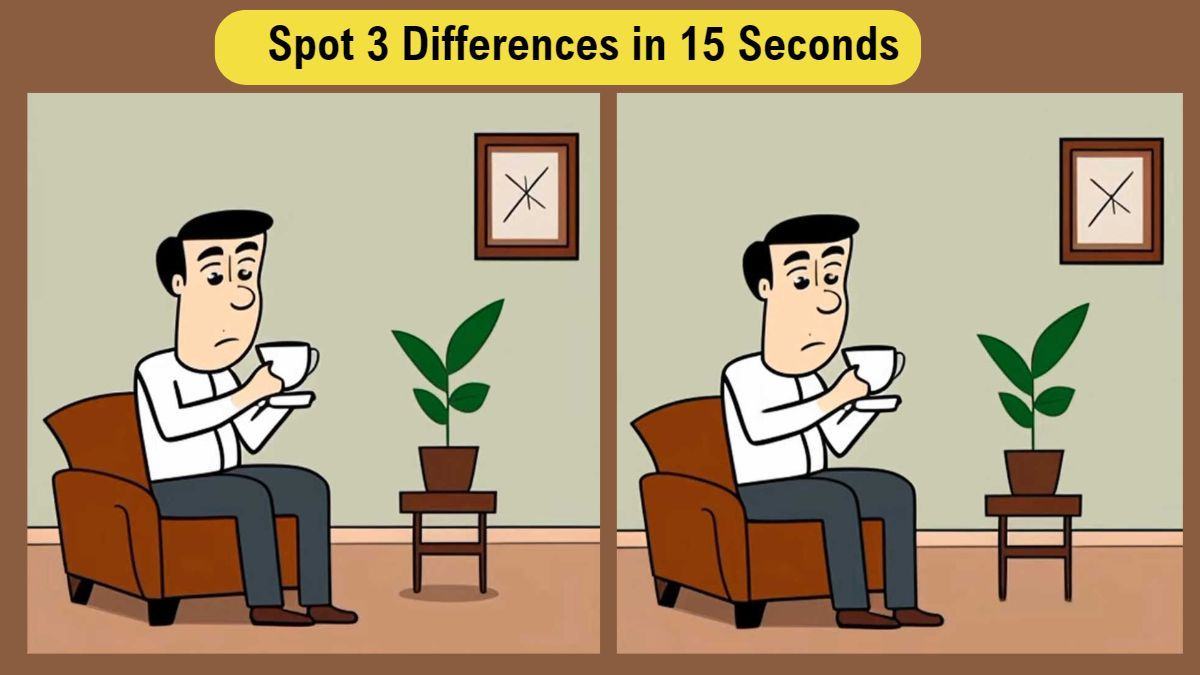 Spot 3 Differences in 15 Seconds