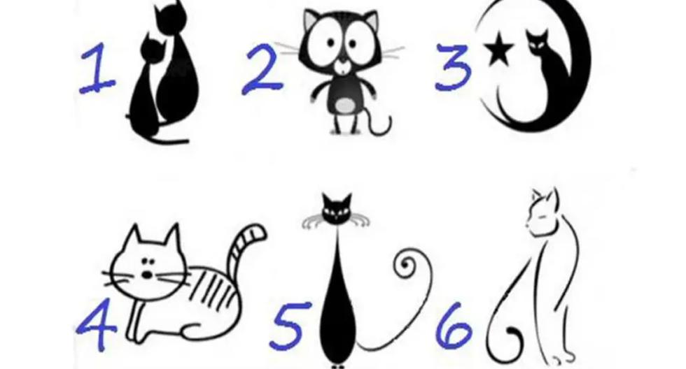 Choose a cat from the picture and you will get accurate information about her personality