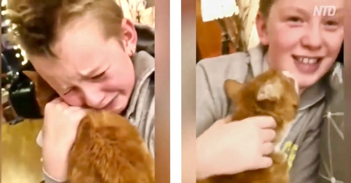 Cute scene: The boy's adorable reaction when he meets his lost cat after 7 months