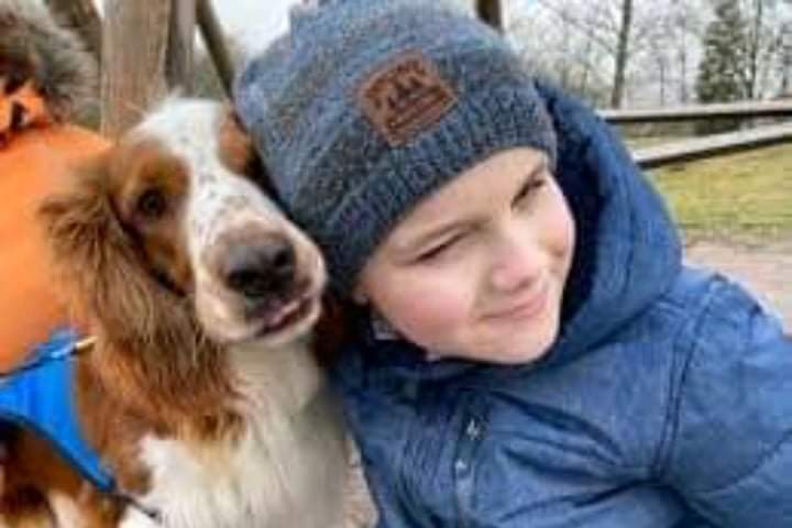 Diabetic boy was saved by loyal dogs who found him collapsed in the woods due to diabetes attack