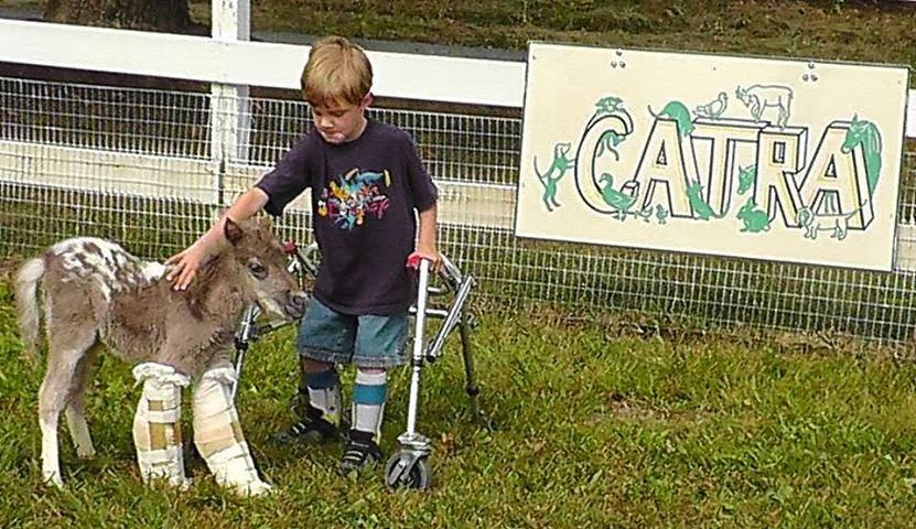 Disabled boy becomes best friend of similarly disabled pony