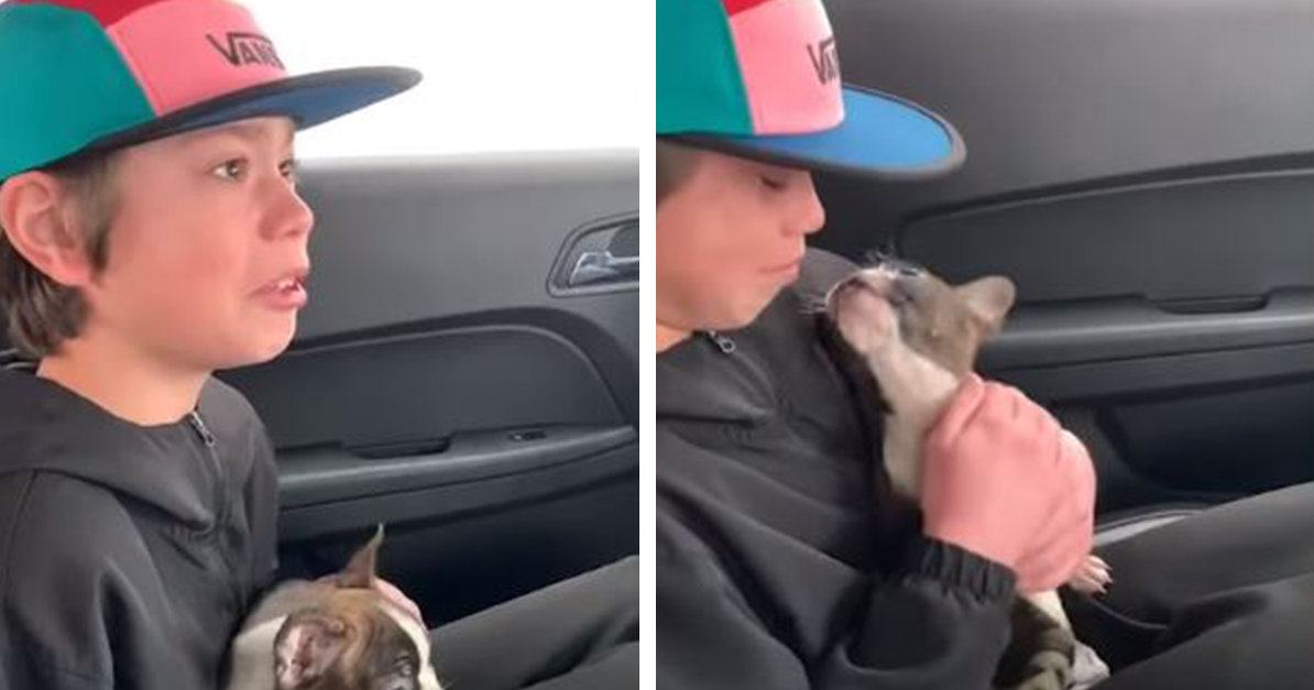 Emotional video.  Boy receives a puppy as a surprise from his late father