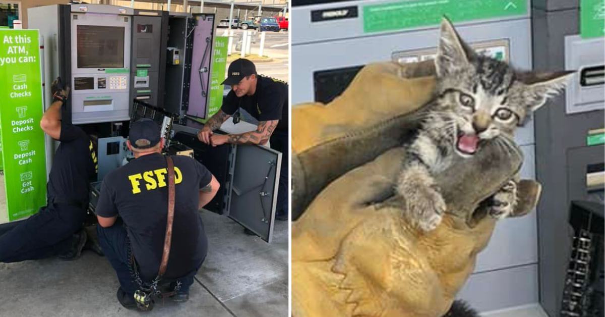 Firefighters rescued a scared kitten stuck in an ATM - the cat was later named "Cash"