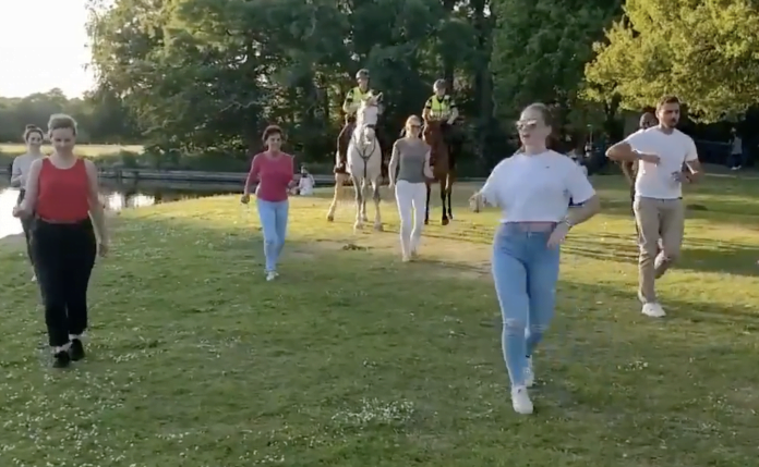 Funny videos.  Two police horses excellent performance when participating in outdoor dance class is very active and impressive