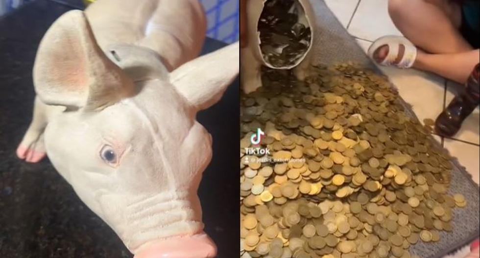 He had two years of savings, and when he opened the piggy bank, he discovered that he had more than 19 thousand dollars.