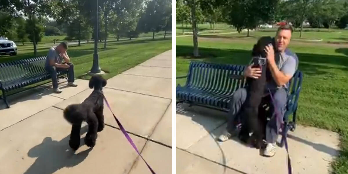 Heart touching video.  A dog walking in the local park suddenly remembered its trainer sitting on a bench he hadn't seen in a long time.