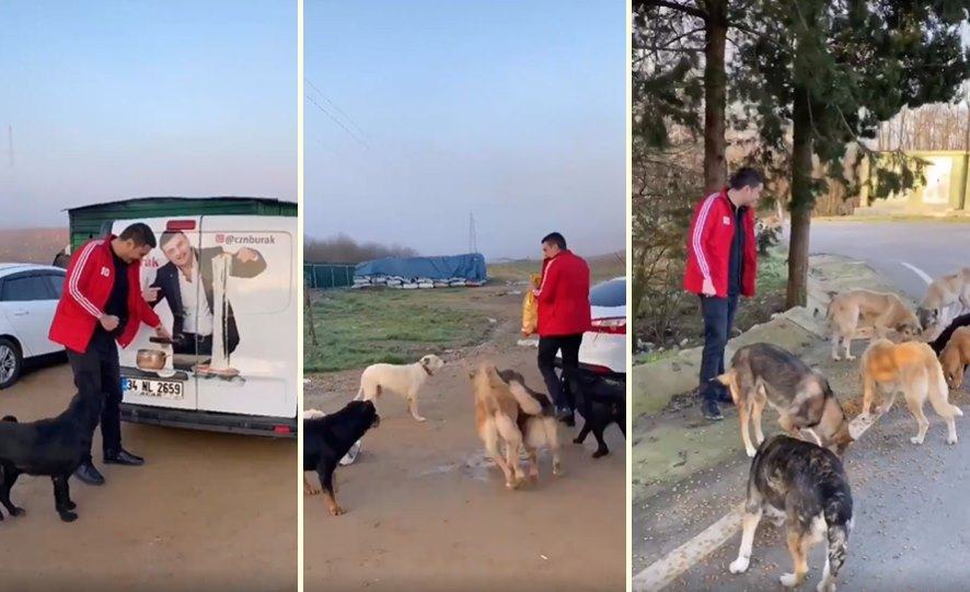 Heart touching video.  Celebrity chef shows his humanity to street dogs by feeding and taking care of them