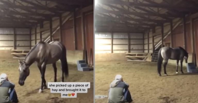 Heart touching video.  The caring horse sees its owner crying and tries to comfort it