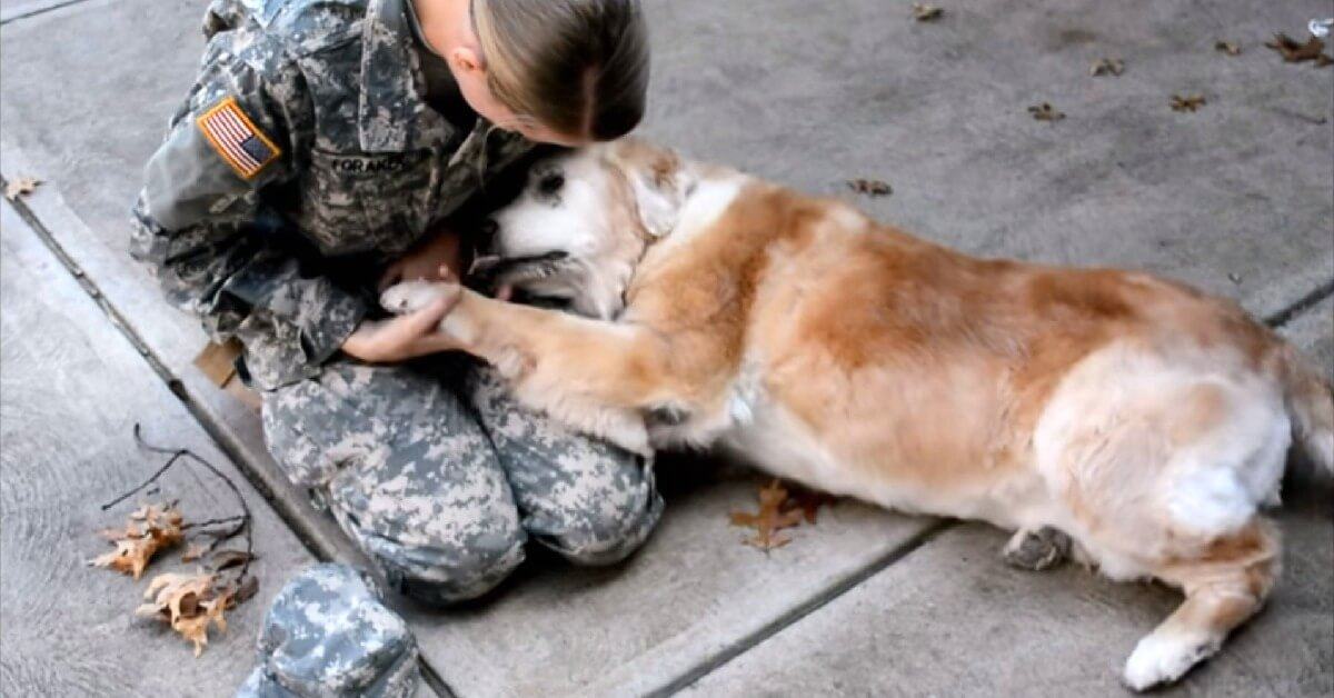 Heart touching video.  True friendship and loyalty.  How a dog met its owner, who came from the military