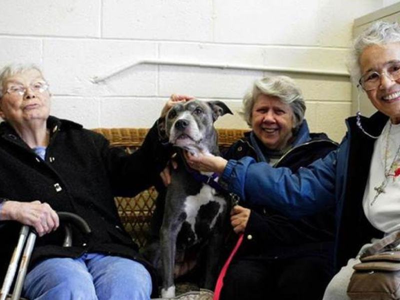 How three kind old ladies decided to adopt the oldest dog in the animal shelter and give it a forever home