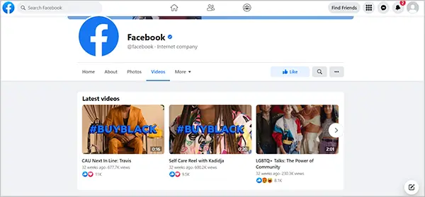 Facebook videos section