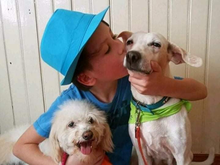 IMAGE.  A kind 11-year-old boy bathes homeless dogs every Saturday so they have a chance to be adopted