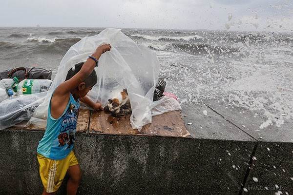 IMAGE.  The kind boy helped and sheltered the mother kitten giving birth in a strong tornado