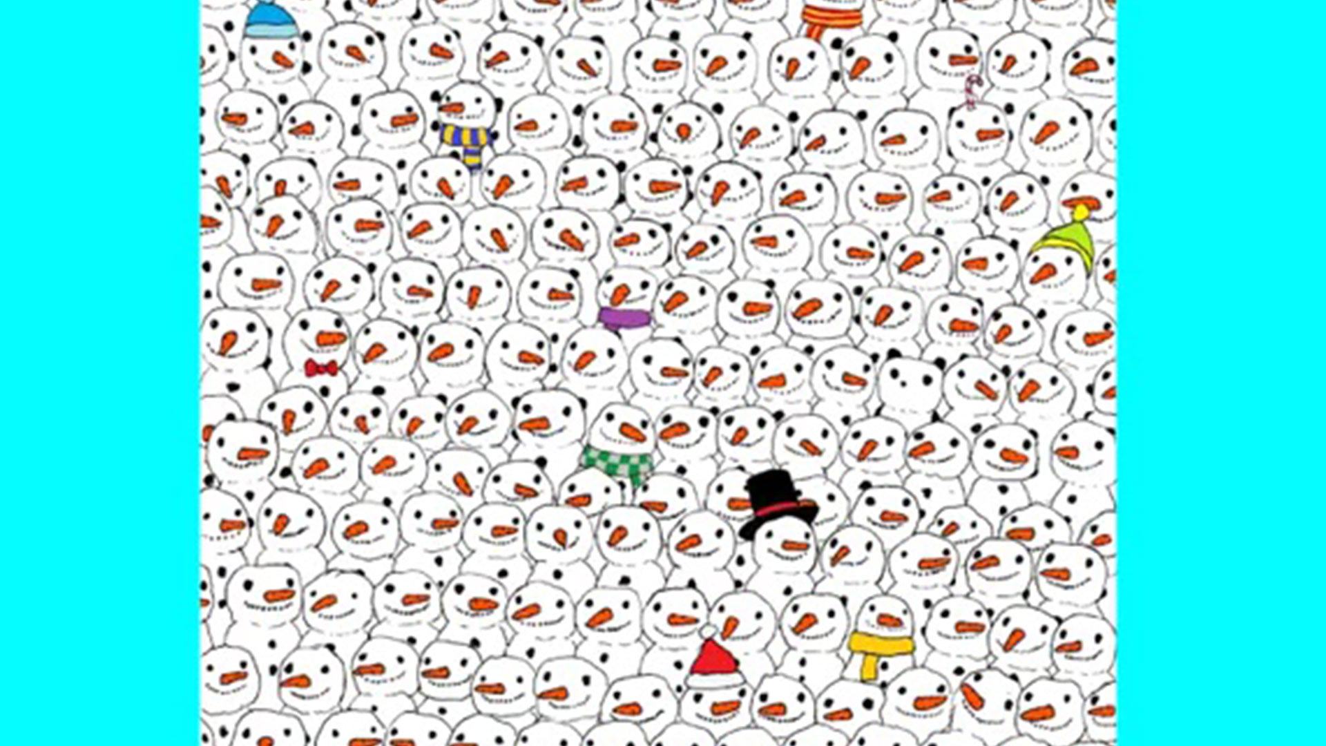 If you can spot the panda hidden in this mind bending optical illusion then you’re in the top 1%