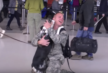 It was a touching scene.  How the dog met its owner at the airport.  It's been two years since the dog hasn't seen him