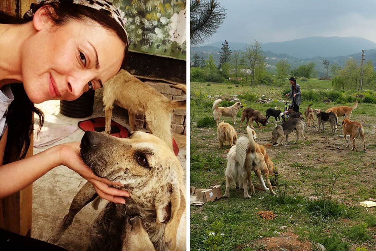 Kind woman drives 2 hours a day after work to feed abandoned dogs on the hill