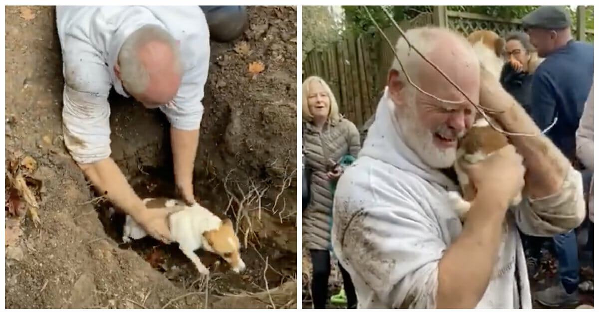 Man starts crying as he pulls his lost dog out of the hole