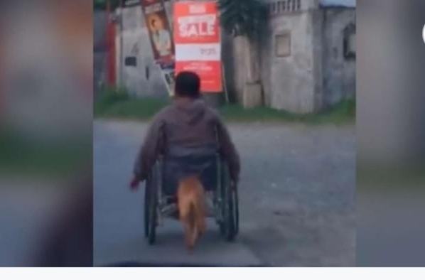 Man's best friend.  Loyal dog loves his owner so much that he uses his nose to push a wheelchair