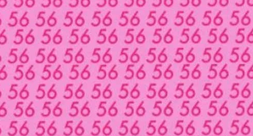 Need to find number 65 in 8 seconds: only 3% pass this viral challenge