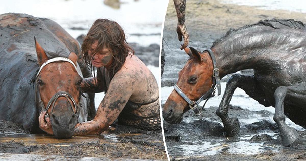 Nicole Graham was left with her horse trapped in the mud for three hours until rescuers arrived