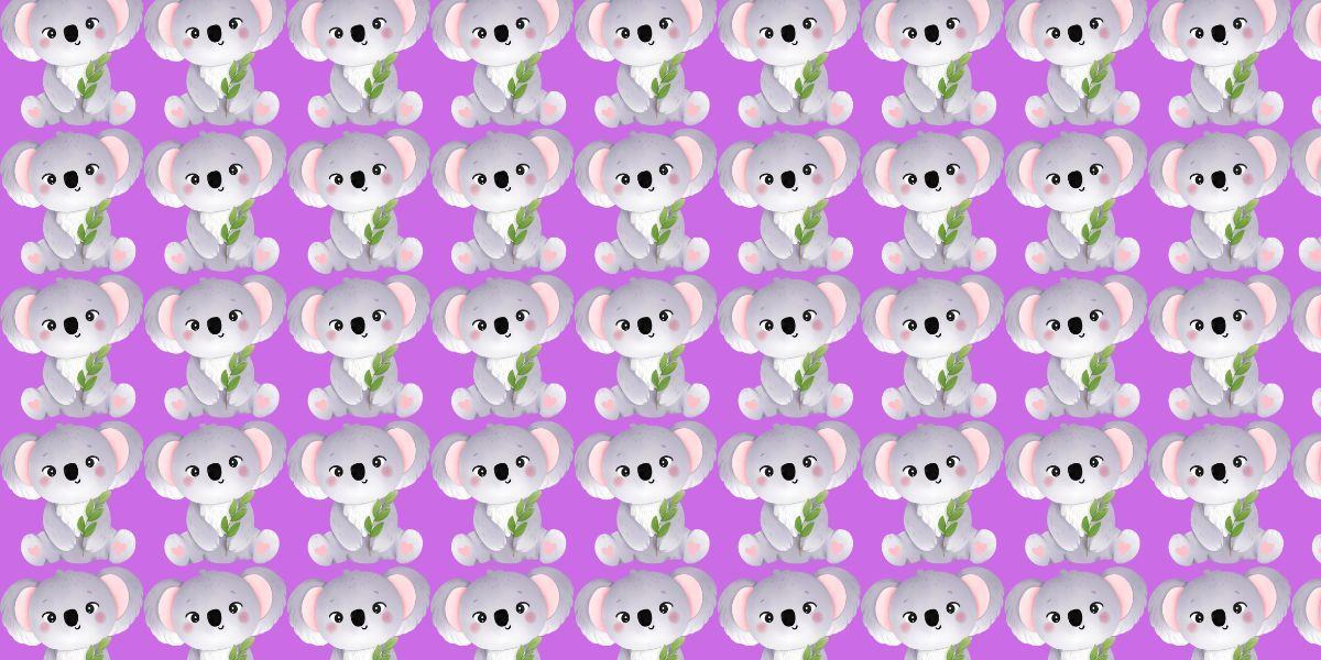 Observation brain teaser: Can you spot the odd one among koalas in less than 15 seconds?