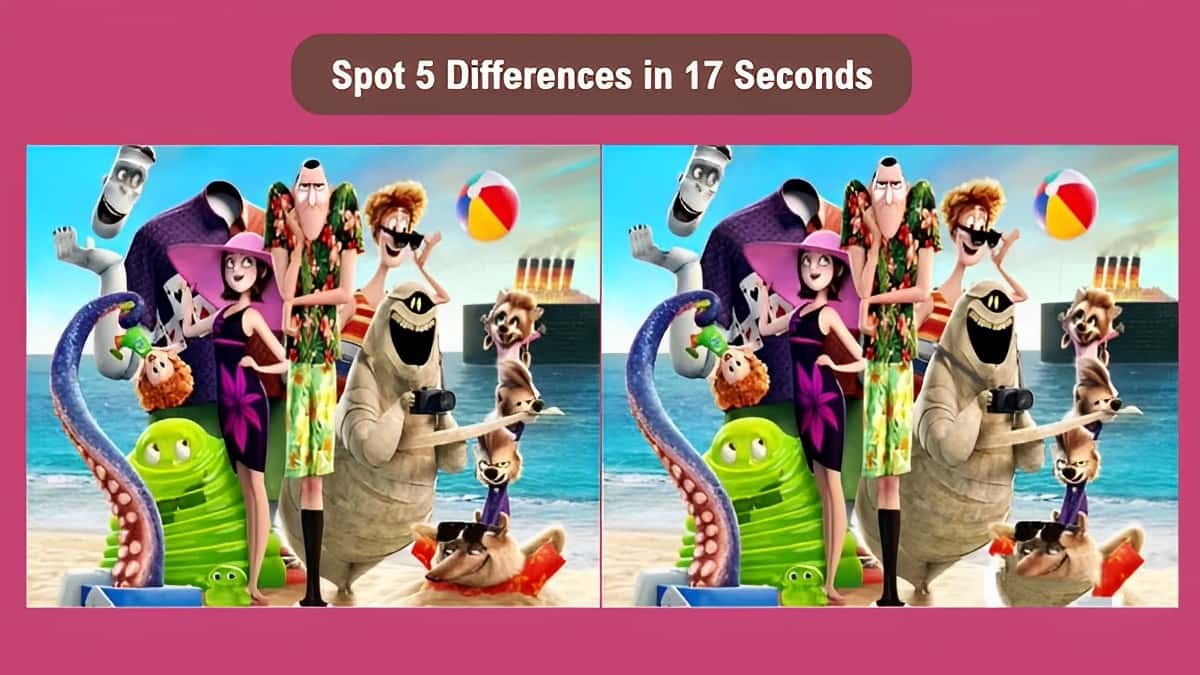 Spot 5 Differences in 17 Seconds