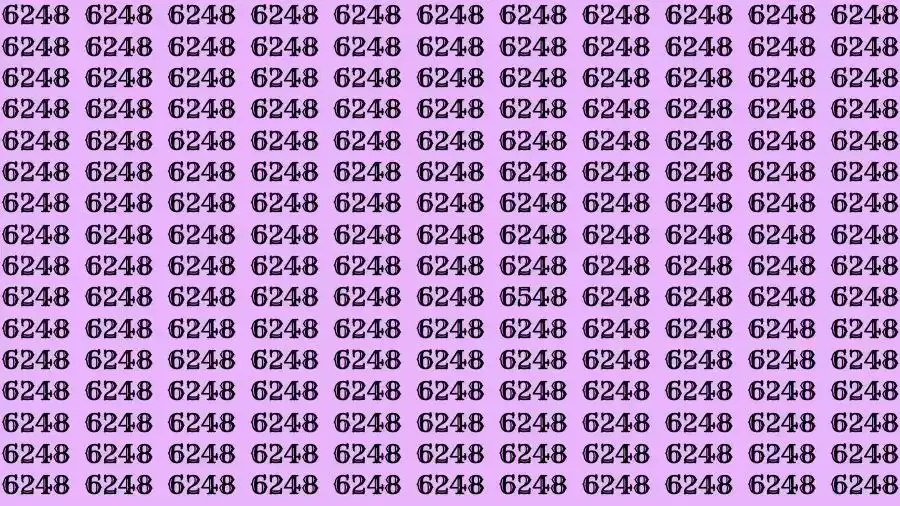 Optical Illusion Brain Teaser: If you have Eagle Eyes Find the number 6548 among 6248 in 6 Seconds?