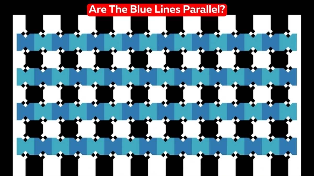 Optical Illusion Vision Test