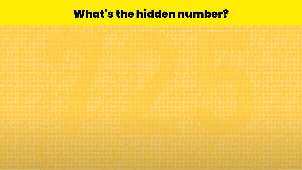 Find the hidden number