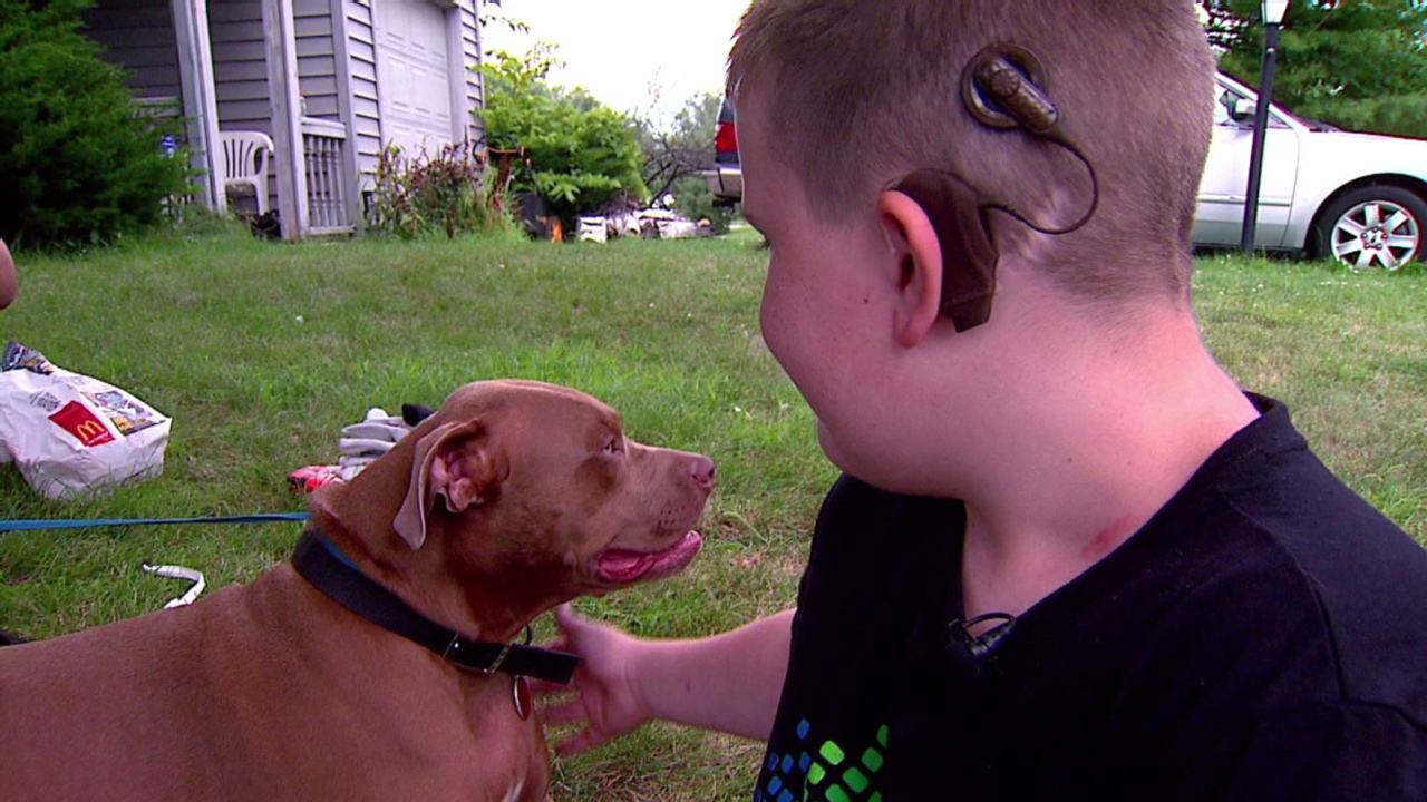 Smart dog saves deaf boy's life from burning house