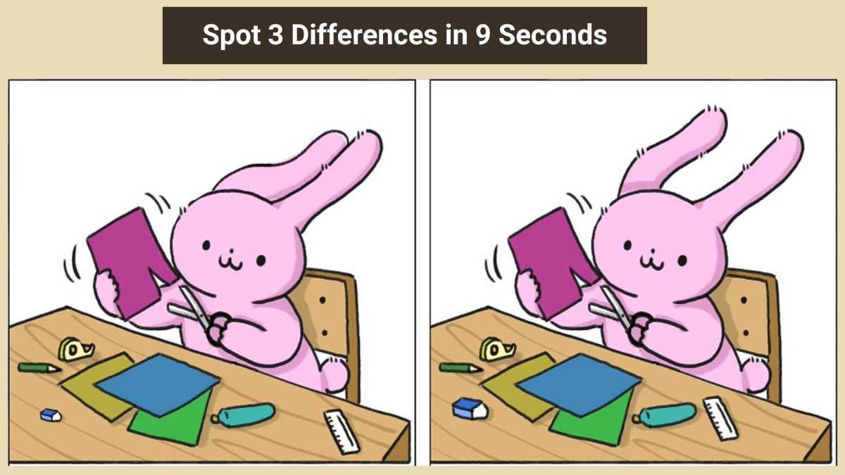 Spot 3 Differences in 9 Seconds