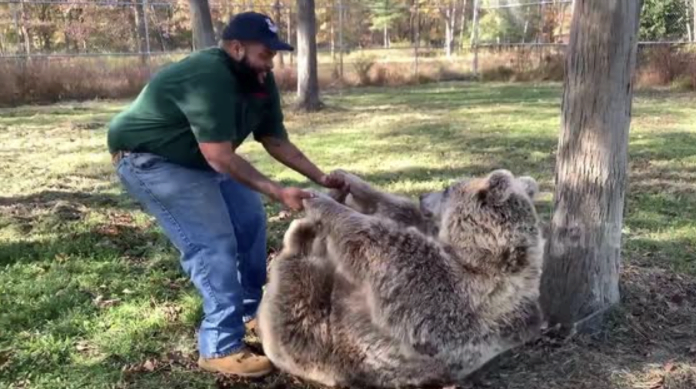 Sweet scene.  Adorable footage shows the emotional reunion of an orphaned teddy bear and her rescuer after many years