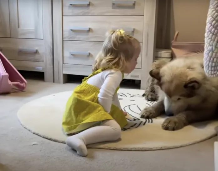 Sweet video.  A cute little girl trying to convince a stuffed dog to take a bath