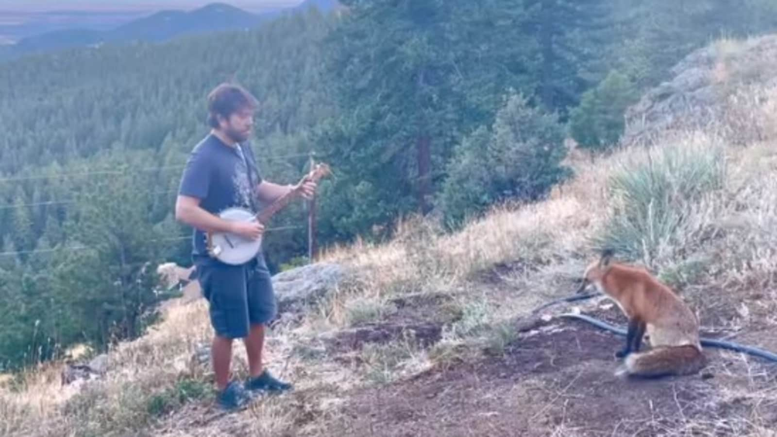 Sweet video.  A man playing the banjo and a caring fox come to enjoy the music every day