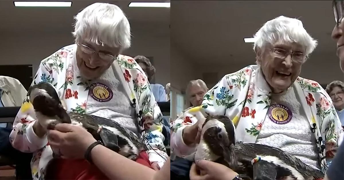 The 104-year-old grandmother's lifelong dream of petting a penguin has come true.  She never thought this would happen