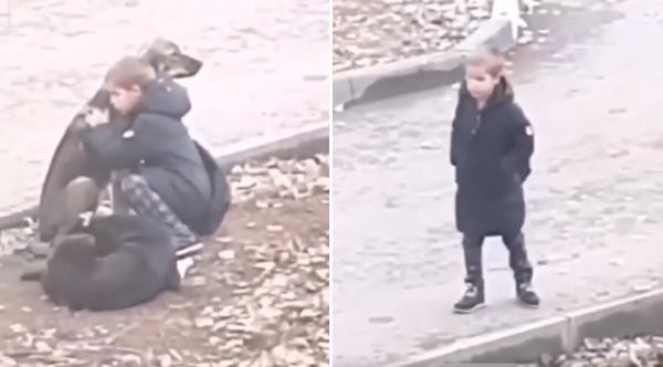 The boy stopped, hugging the stray dogs warmly because he thought no one was watching