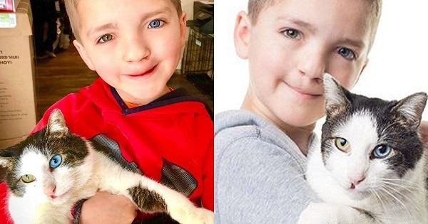 The boy with unique eyes and lips has found the perfect companion for him