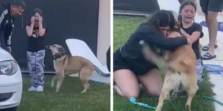 The children started crying with happiness when they saw their lost dog finally coming home