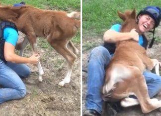 The cute pony continues to cuddle the girl in the lovely clip